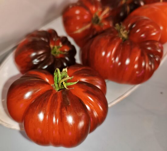 Цветок Юрелен